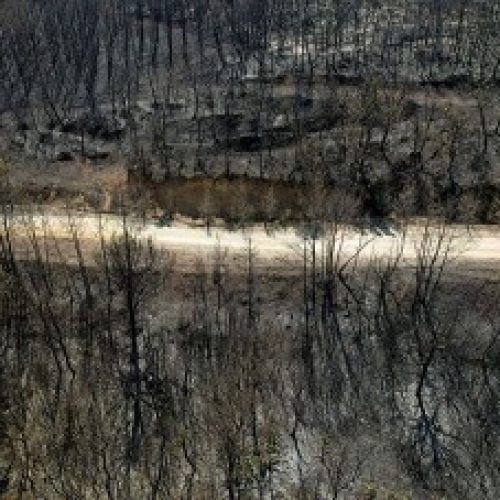 Global News Kingdom of Bahrain: Greece Battle Against Europe Deadliest Summer Fire