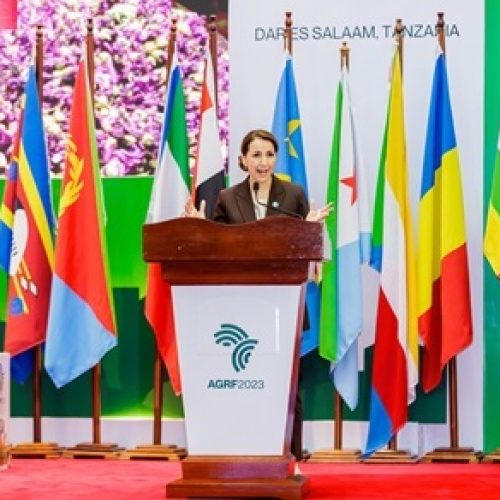 Mariam Al-Muhairi Calls on African Countries to Sign the Declaration on Food Systems, Agriculture, and Climate Action