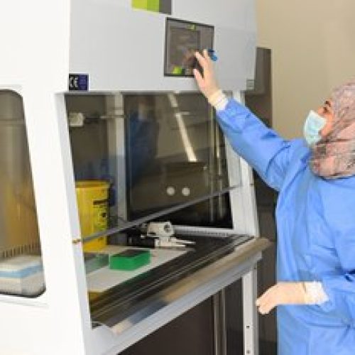 Ministry of Health Launches State-of-the-Art Molecular PCR Lab at Khawla Hospital