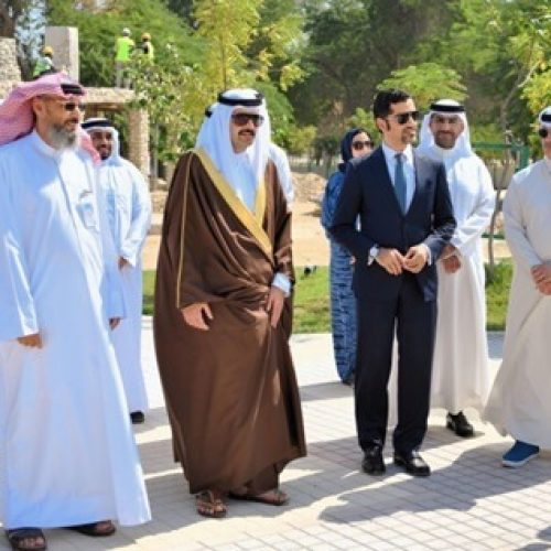 Vital Development Projects in the Southern Governorate Undergo Inspection